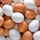 eggs eggs