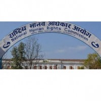 ‘पौडेल हत्यामा संलग्नलाई उन्मुक्ति’