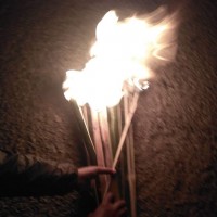 नेकपाद्वारा देशभर मसाल जुलुस प्रदर्शन