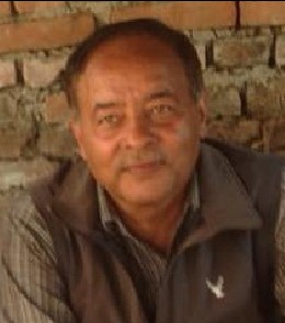 बेढंगको समायोजन प्रक्रिया खारेज गर्न माग